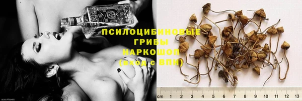 стафф Алексин