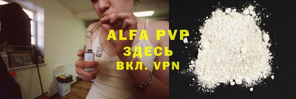 стафф Алексин