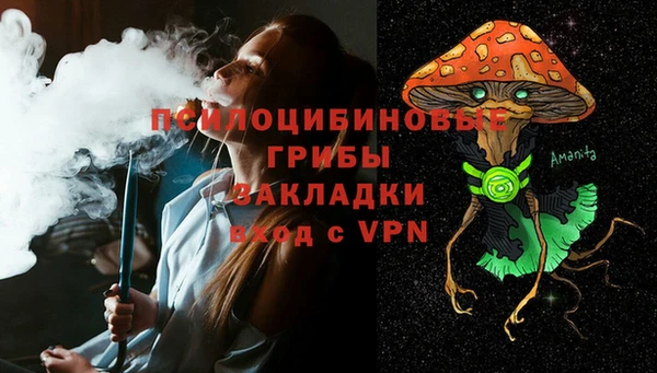 дмт Алексеевка