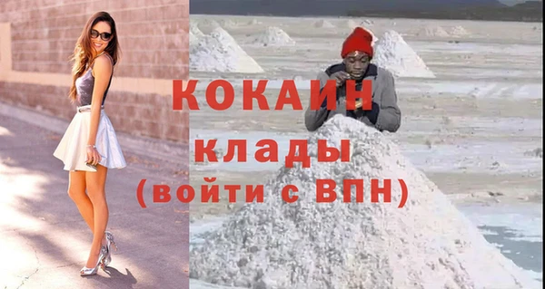 стафф Алексин