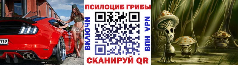 Галлюциногенные грибы прущие грибы  mega зеркало  Буй 